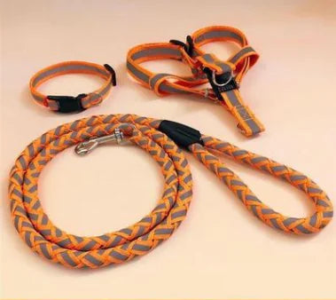 Dog Leash for Pets